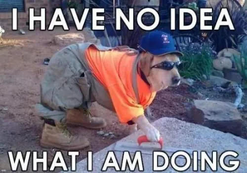 11- I HAVE NO IDEAS 11 I HAVE NO IDEAS