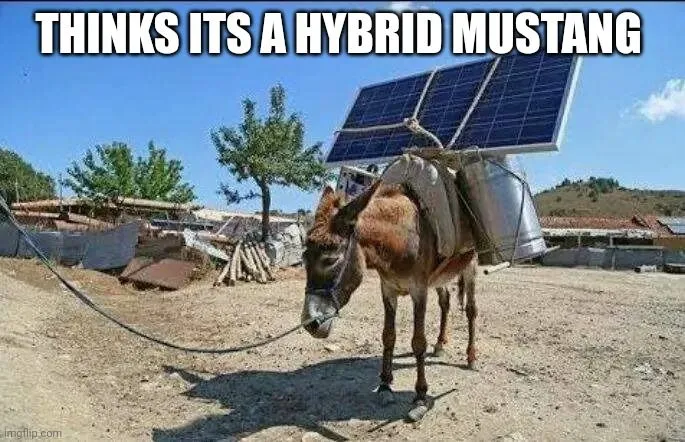 4. THINKING HE WOULD ALSO BE CHARGED WITH SOLAR POWER 4. THINKING HE WOULD ALSO BE CHARGED WITH SOLAR POWER